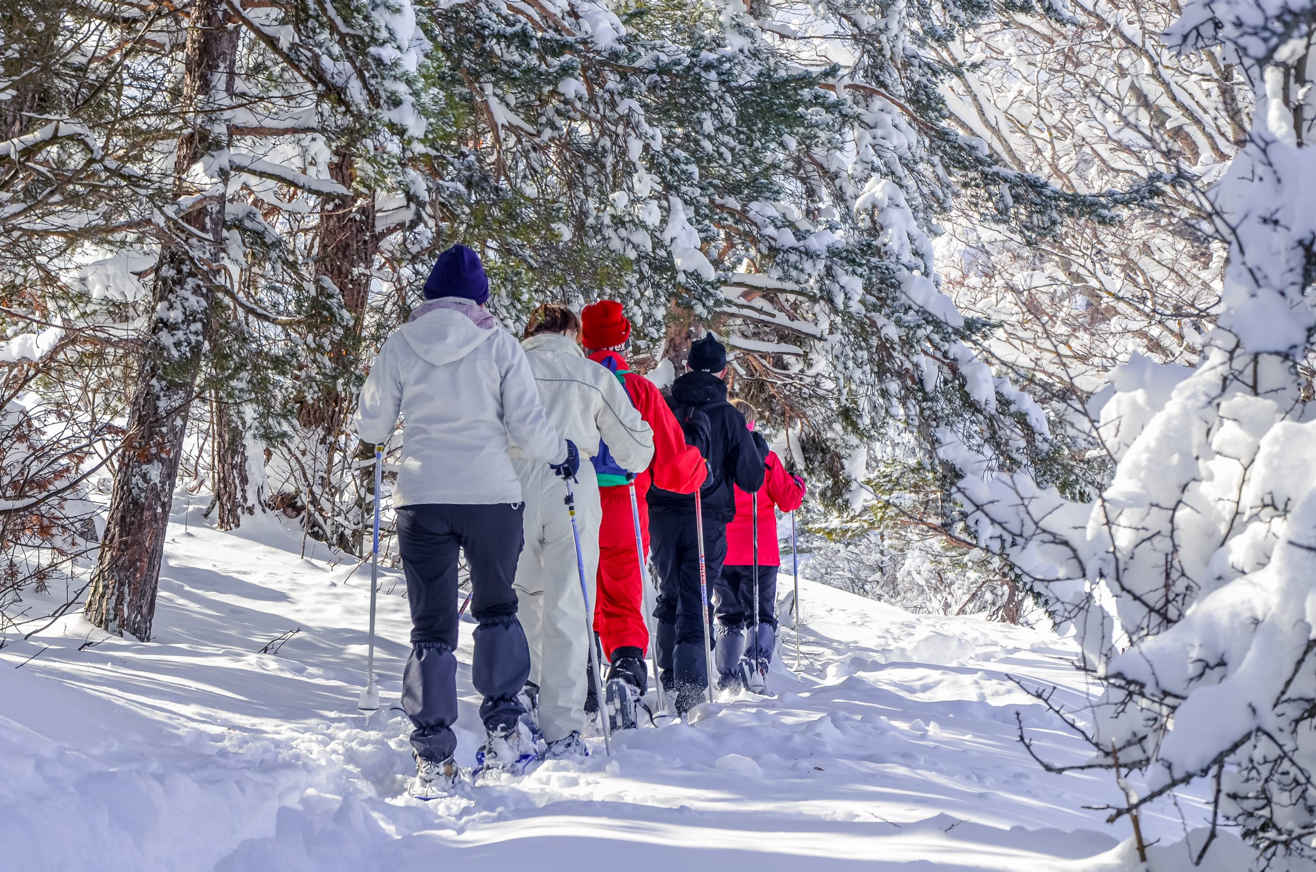 Family snowshoe trekking